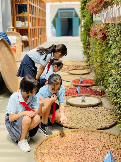 WechatIMG5803.jpg WechatIMG5803.jpg