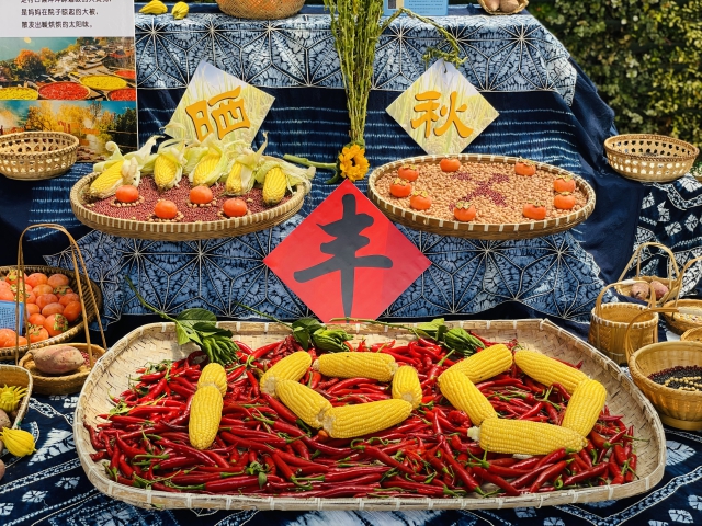 WechatIMG5799.jpg WechatIMG5799.jpg