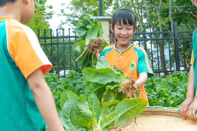 W020220429696214154778.jpg W020220429696214154778.jpg