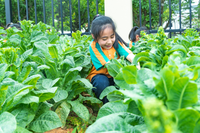 W020220429696219396432.jpg W020220429696219396432.jpg