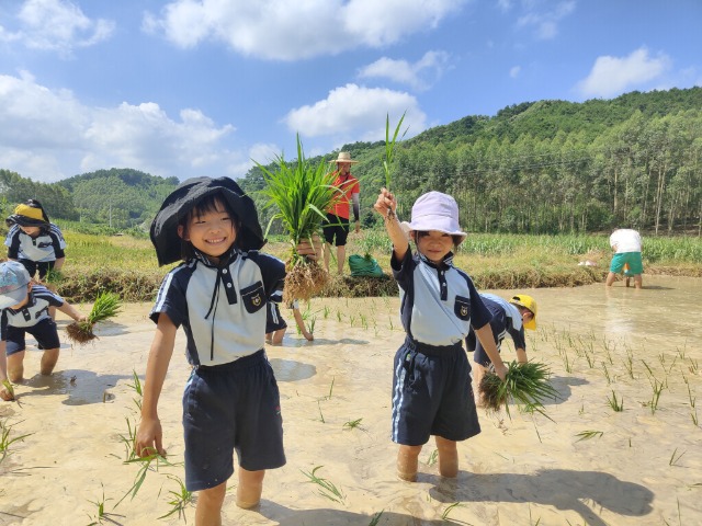 孩子體驗插秧的樂趣.jpg 孩子體驗插秧的樂趣.jpg