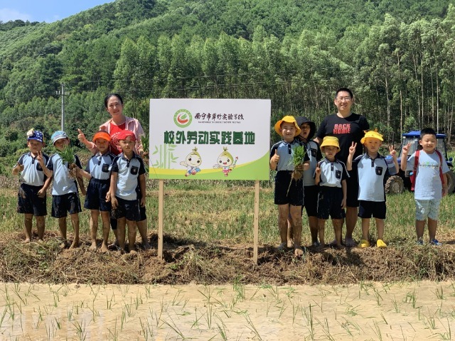 插秧的快樂.jpg 插秧的快樂.jpg