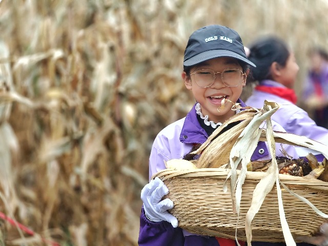 孩子們體驗秋收樂趣,高興極了。.jpeg 孩子們體驗秋收樂趣,高興極了。.jpeg