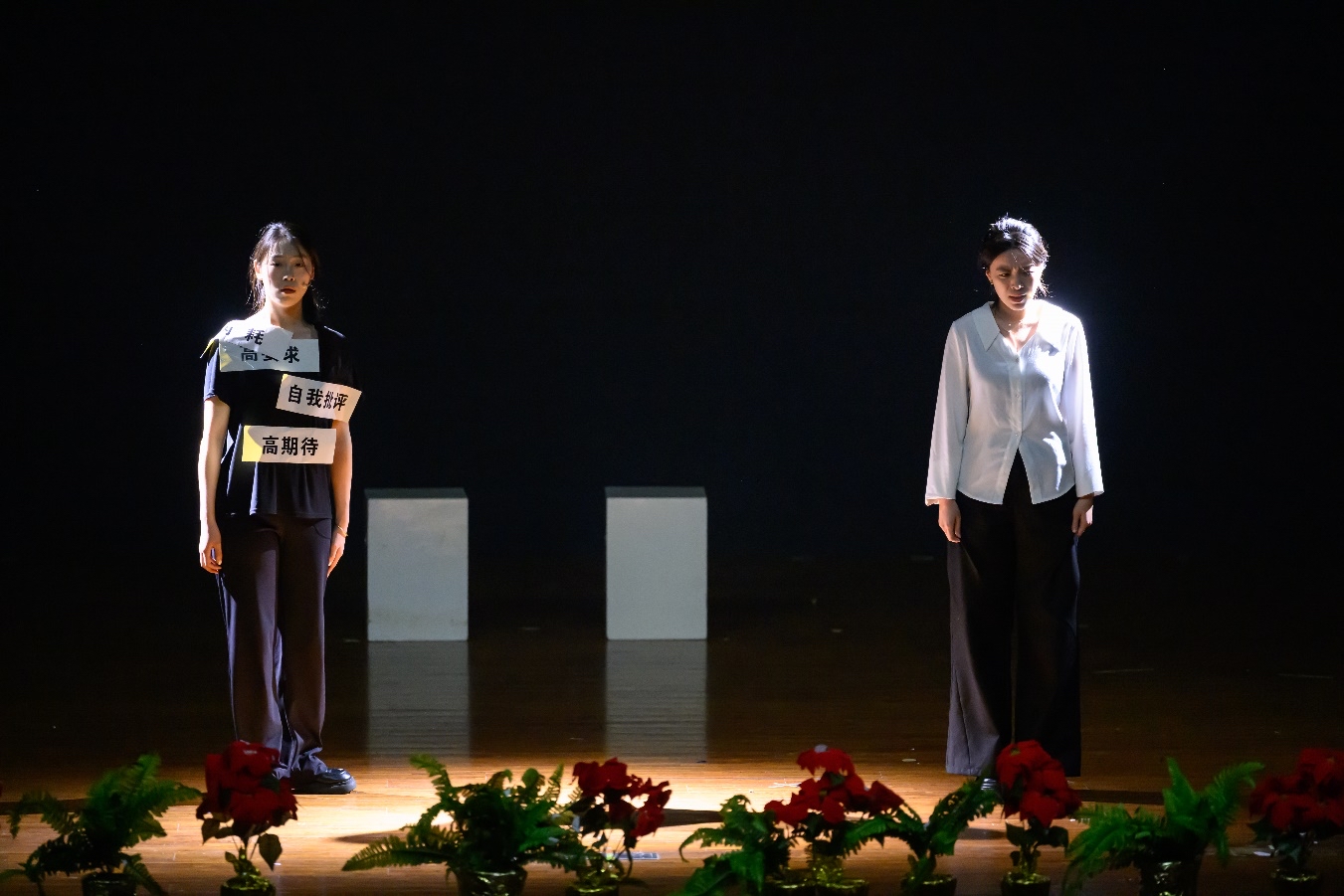 上海師范大學(xué)《一次完美的出走》劇照