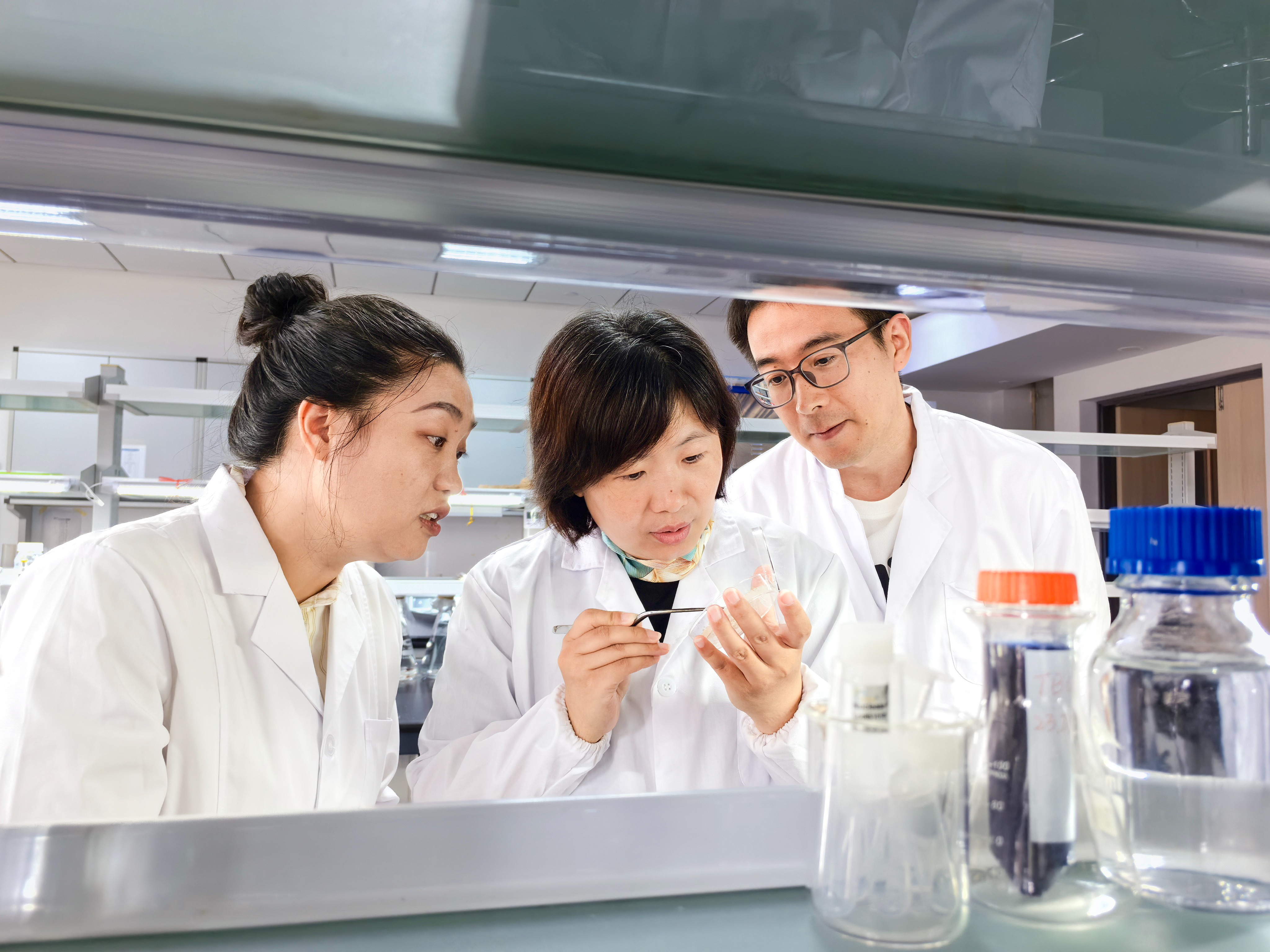 mmexport1758073157880