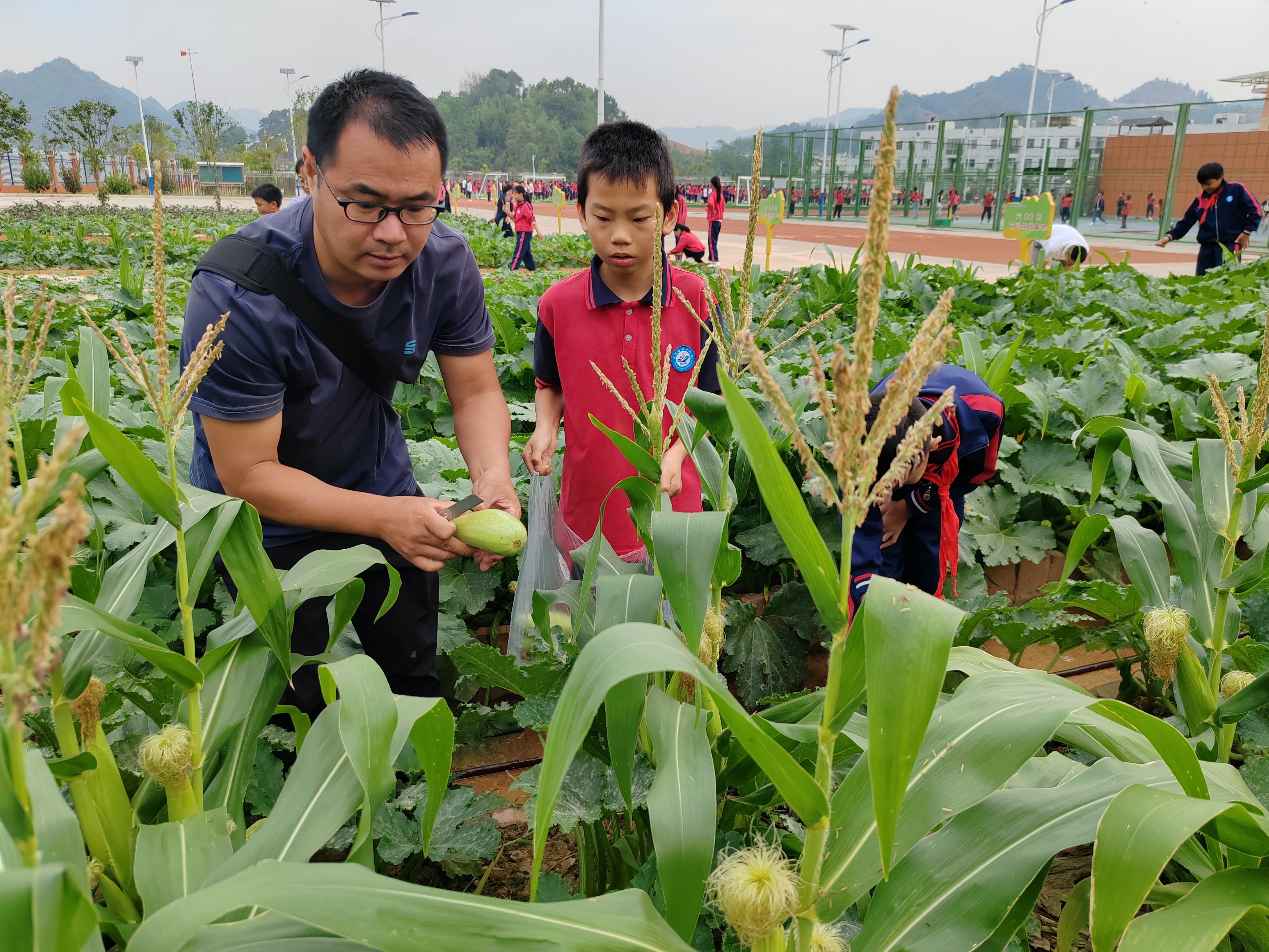 馬關縣第四小學師生在基地摘南瓜。陸涼江  攝   4.jpg