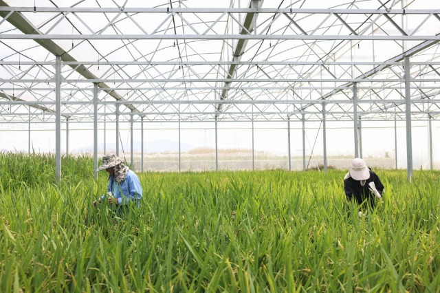 c9f8fa96528993fbbd4c18fd0e3db5cd_5BMkZrlpVSqBPInl.jpg c9f8fa96528993fbbd4c18fd0e3db5cd_5BMkZrlpVSqBPInl.jpg