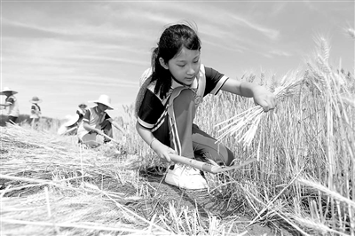 1cc9addc6b10b8b9b21894ae38d3073d_W020250613252120320928.jpg 1cc9addc6b10b8b9b21894ae38d3073d_W020250613252120320928.jpg