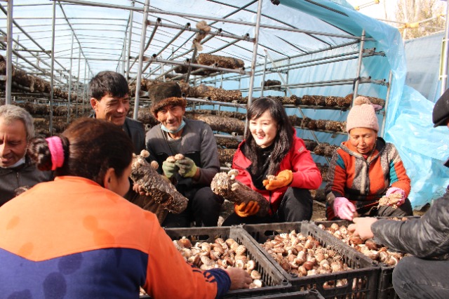 阿依帕爾(右二)在巴仁村的蔬菜大棚與村民交流.jpg 阿依帕爾(右二)在巴仁村的蔬菜大棚與村民交流.jpg